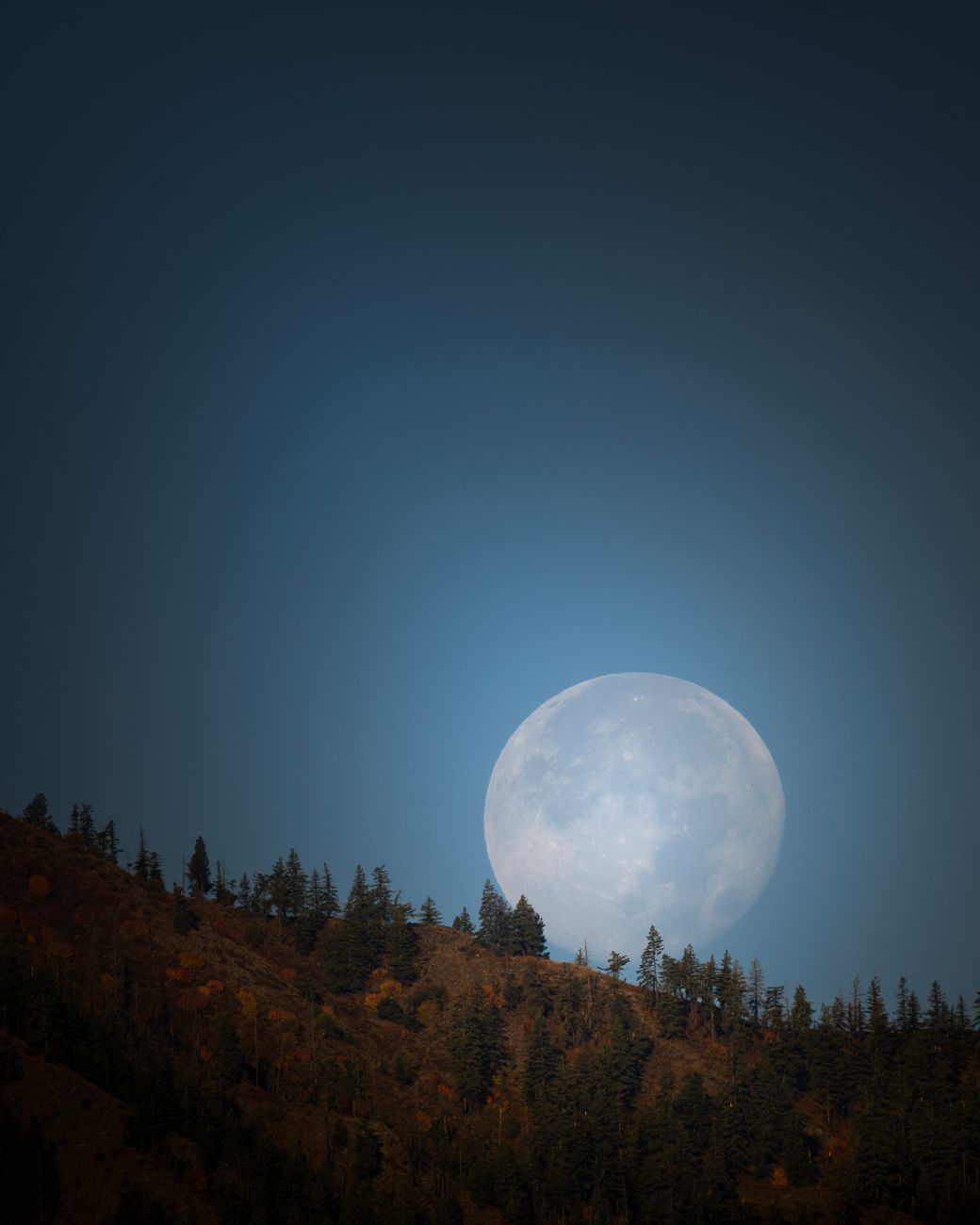 full moon seen from a valley, featuring sub alpine hills and trees and a lightly darkened sky